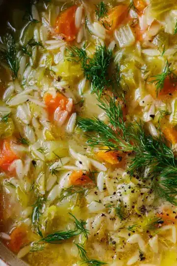 Orzo Leek and Dill Soup