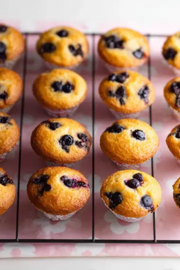 Mini Banana Blueberry Muffins for Kids