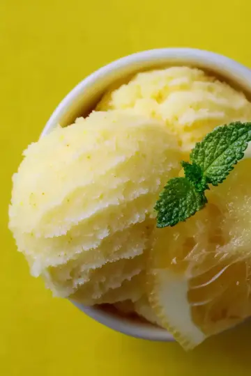 Meyer Lemon Sorbet